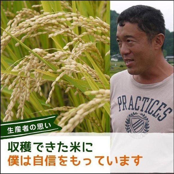 コシヒカリ 【10月下旬〜11月上旬】 新米 飛騨産 さとう 特選米