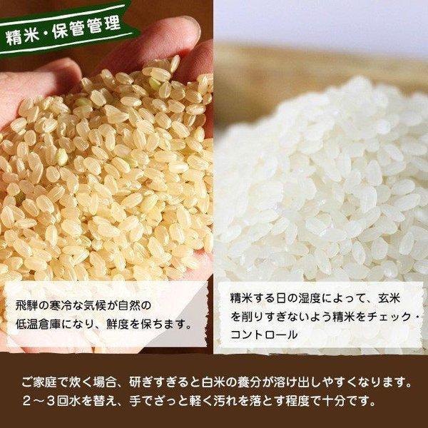 コシヒカリ 飛騨産 さとう 特選米 5kg 2024年度産 岐阜県 飛騨 コシヒカリ 飛騨産 さとう 特選米 5kg 2024年度産 岐阜県 飛騨