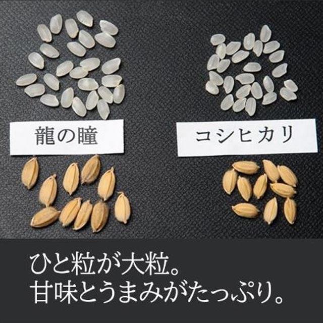 龍の瞳 飛騨産 2Kg 新米予約10月中旬〜下旬】 2025年 龍の瞳 2kg 岐阜県 飛騨産