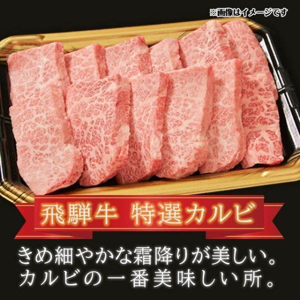 飛騨牛 焼肉 A5 A4 ランク 牛肉 焼き肉用 ギフト 合計 900g 特選カルビ400g カルビ500g | 飛騨牛 | 01