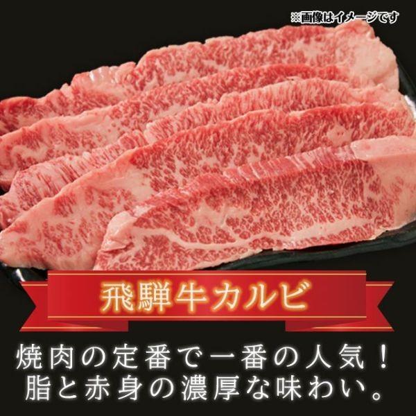 飛騨牛 焼肉 A5 A4 ランク 牛肉 焼き肉用 ギフト 合計 900g 特選カルビ400g カルビ500g | 飛騨牛 | 02