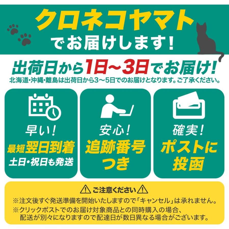 正規品販売 エギング 10点 セット エギ 餌木 ルアー 仕掛け イカ釣り フック 収納ケース付 2 5号 3 0号 3 5号 Aynaelda Com