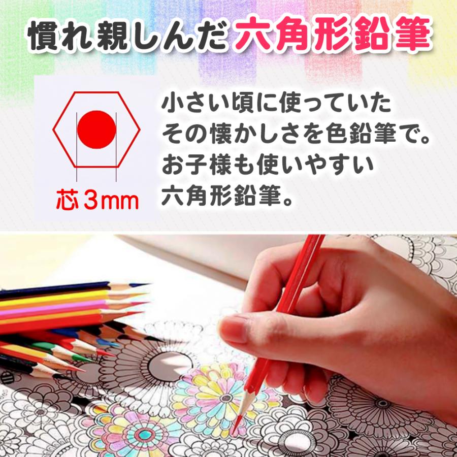 色鉛筆 50色 セット ケース 油性 子供 収納 ロール プレゼント ギフト