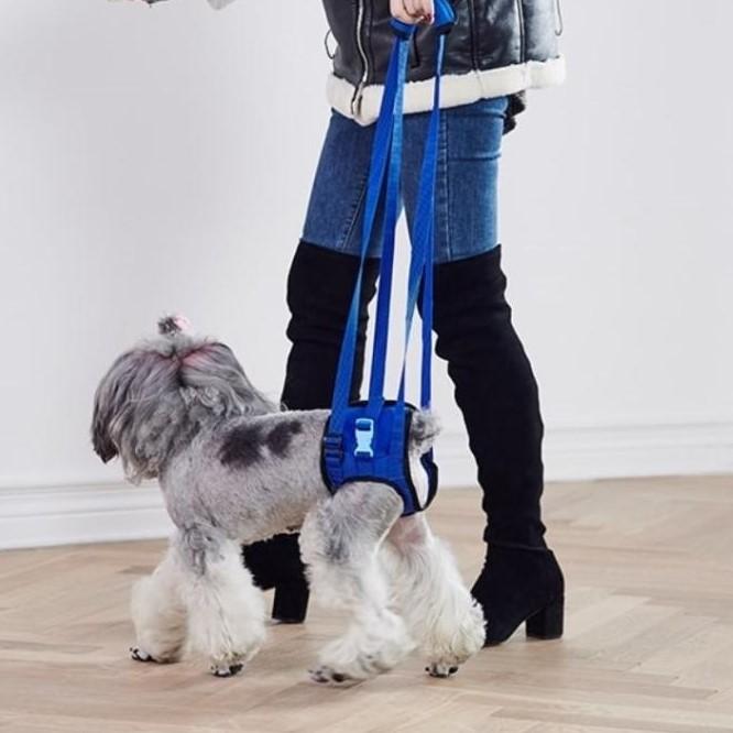 犬 介護用ハーネス 後ろ足 介護用品 歩行補助 歩行器 リハビリ 障害 老