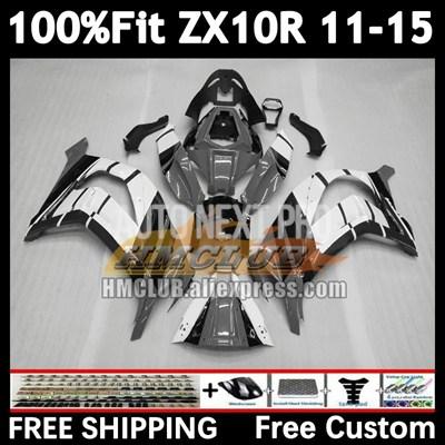 並行輸入品】射出モールドボディフェアリング カワサキニンジャzx 10r