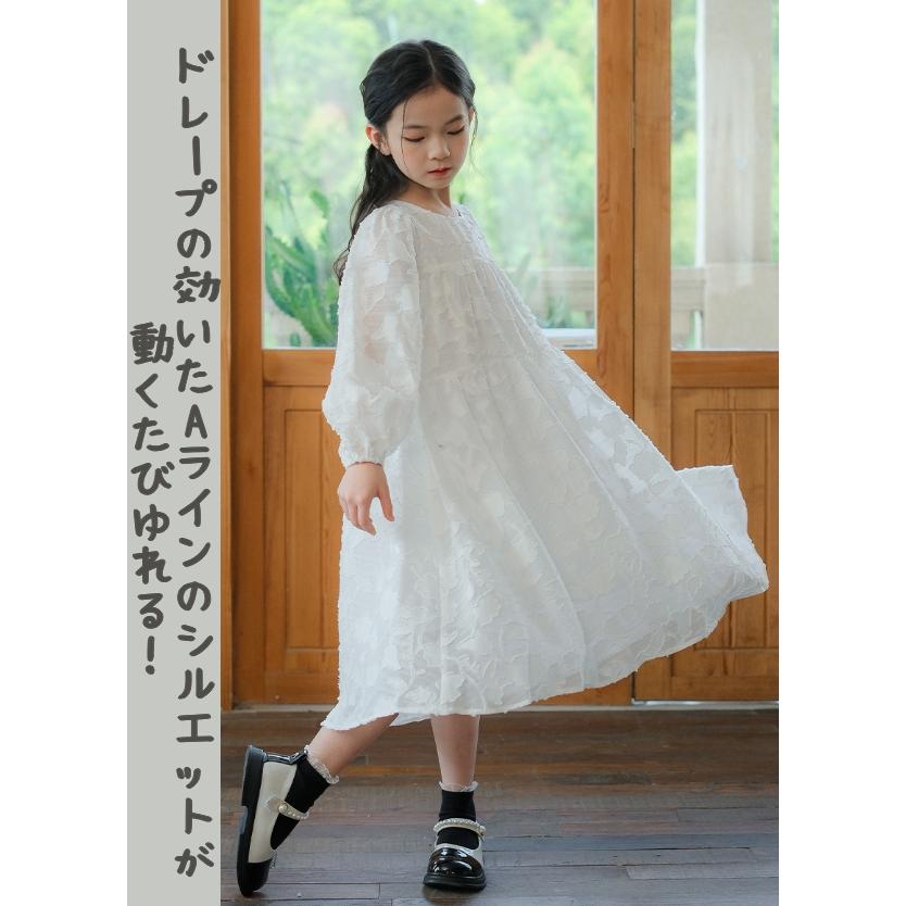 ハヤマサンデー ドッグ 刺繍 リネン100%　長袖ワンピース F 白 sg004 総レース長袖ワンピース 刺しゅう100%ポリエステル 裏地付