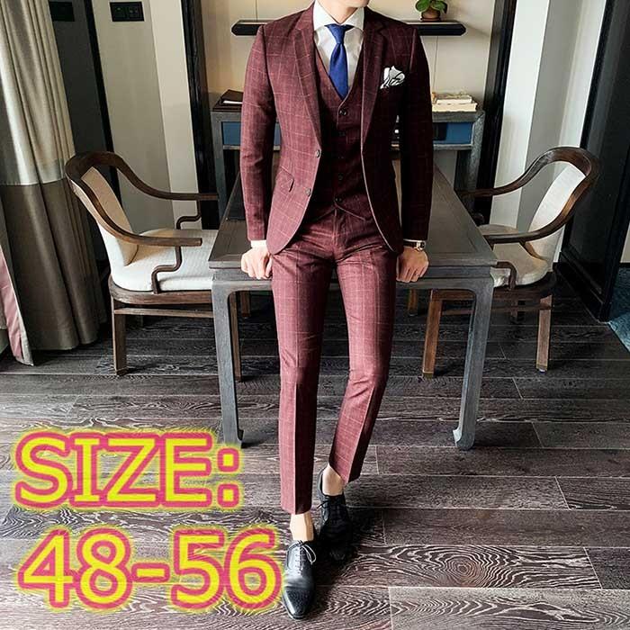 流行に 紳士服スリーピーススーツ 3ピーススーツ スーツ3点セットチェック柄披露宴ビジネススーツ 通勤スリムメンズ スーツ 結婚式 入学式 卒業式面接 最安 Www Kslcity Com My