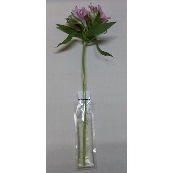 切り花用保水キャップ「プチエコゼリー　Ｓ　10ｇ」　業務用(内容：エコゼリー約１０ｇ×200個入り) |  | 01