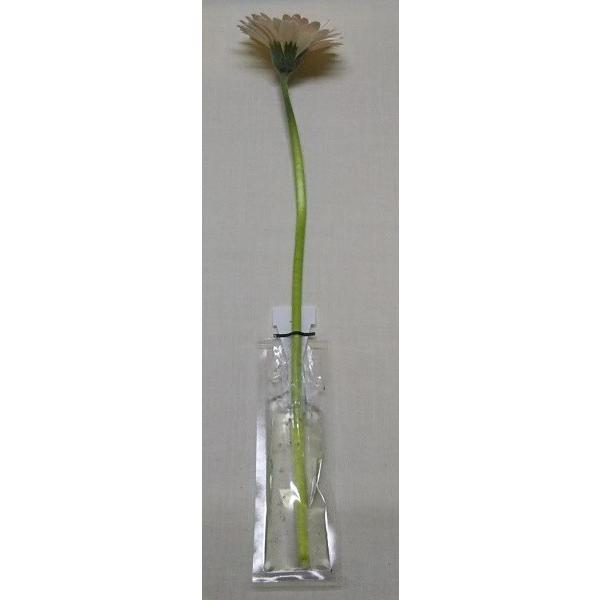 切り花用保水キャップ「プチエコゼリー　Ｓ　10ｇ」　業務用(内容：エコゼリー約１０ｇ×200個入り) |  | 03