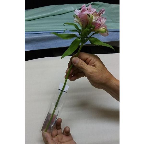 切り花用保水キャップ「プチエコゼリー　Ｓ　10ｇ」　業務用(内容：エコゼリー約１０ｇ×200個入り) |  | 07