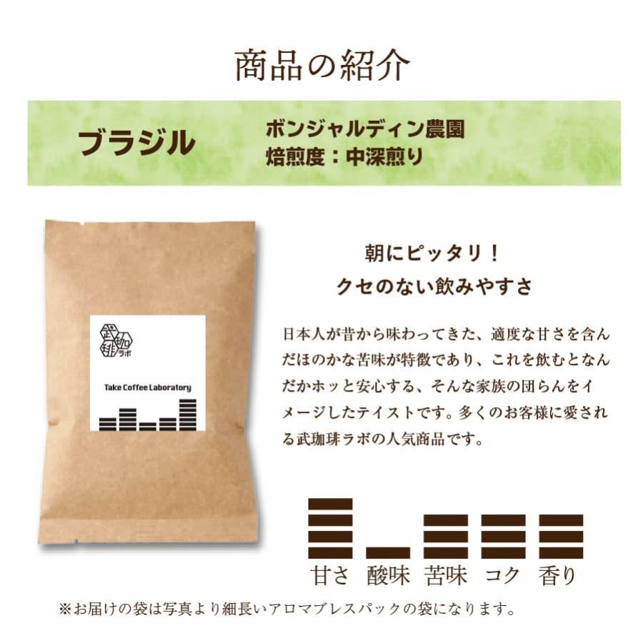 ブラジル中煎り クセがなく飲みやすい 酸味の少ない珈琲 【送料無料
