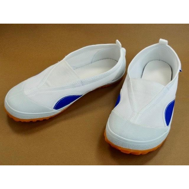 上履き 教育シューズ A エース MR2 青 ブルー ライトブルー 水色 白