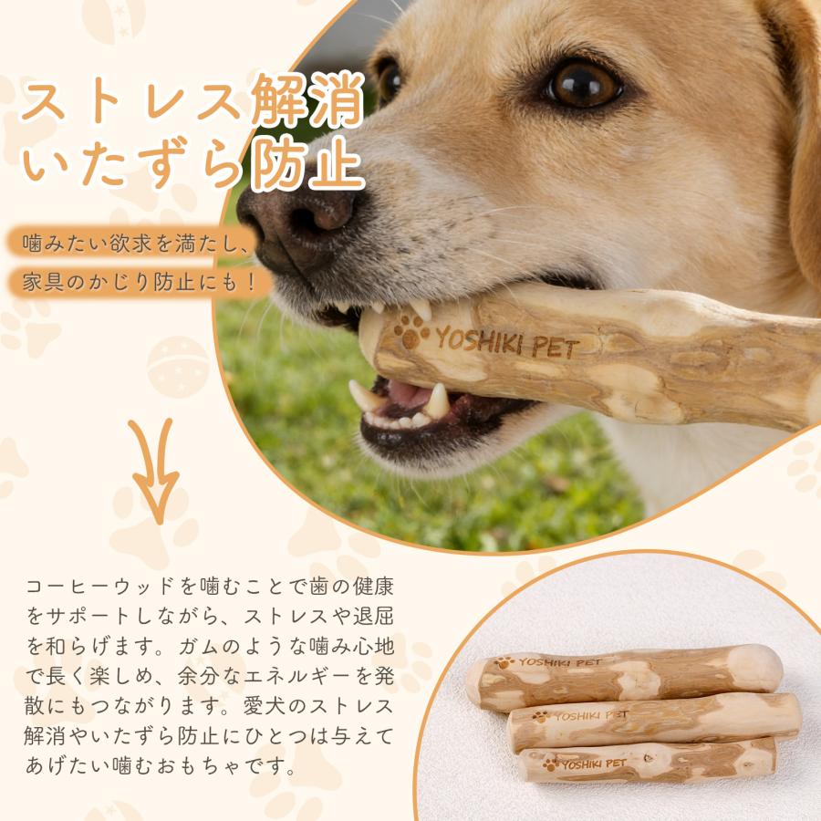 【良木工房YOSHIKI】犬用おもちゃ コーヒーの木 Lサイズ 天然木 無添加 噛むおもちゃ デンタルトイ 大型犬用 かみかみ 安心 ナチュラル YK-POL |  | 02