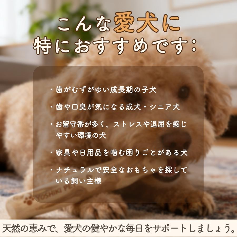 【良木工房YOSHIKI】犬用おもちゃ コーヒーの木 Lサイズ 天然木 無添加 噛むおもちゃ デンタルトイ 大型犬用 かみかみ 安心 ナチュラル YK-POL |  | 07