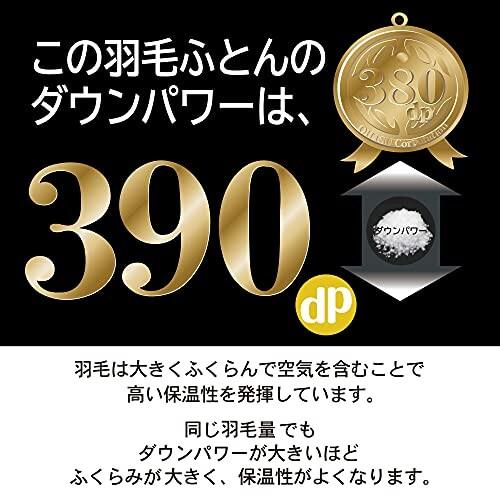正規品 大津コーポレーション 羽毛掛けふとん ブルー 211590-6 【WSO1001950181】(36346円)