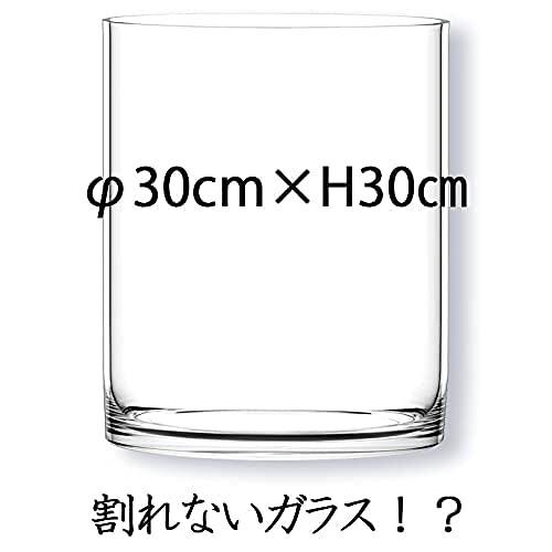 FOYER 割れない 花瓶 フラワーベース ポリカーボネート おしゃれ 高さ 30 cm 幅 30 cm 大きい 2300144 cm FOYER 割れない 花瓶 フラワーベース ポリカーボネート おしゃれ 高さ 幅 大きい