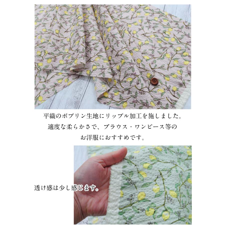 ポコポコレモン リップル 生地 布 綿 植物 コットン 薄手 春夏 浴衣 甚平