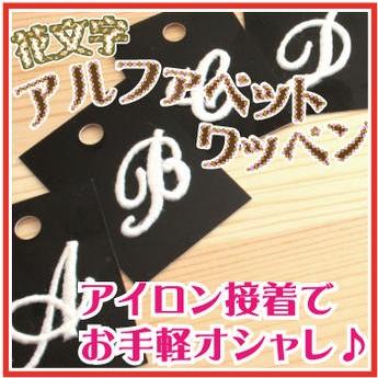 花文字 アルファベット N 楽器 手芸 コレクション の商品一覧 通販 Yahoo ショッピング
