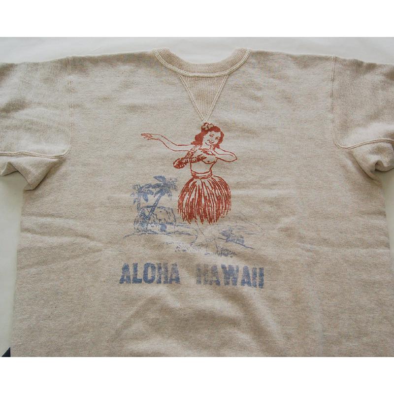 WAREHOUSEウエアハウス スウェット 403 ALOHA HAWAII : TAKE OFF 