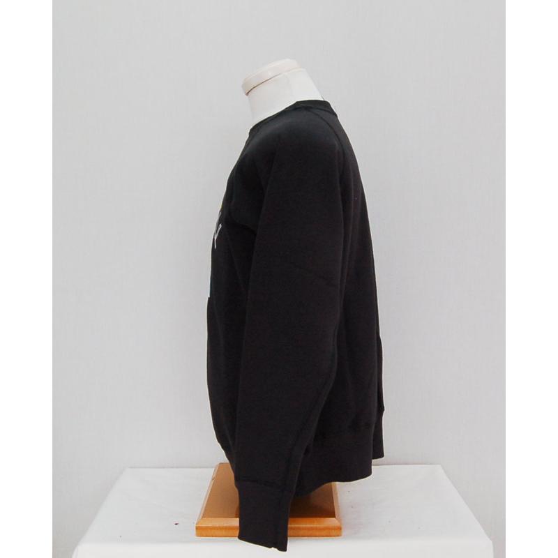 WAREHOUSE ウエアハウス スウェット 409 WRANGELL (ラグランスリーブ