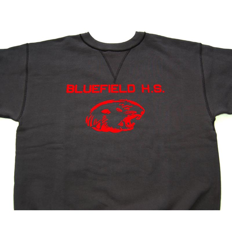 WAREHOUSE ウエアハウス スウェット 401 BLUEFIELD セットイン