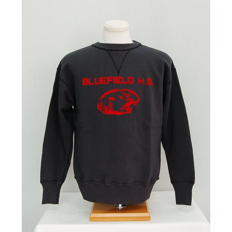 WAREHOUSE ウエアハウス スウェット 401 BLUEFIELD セットイン