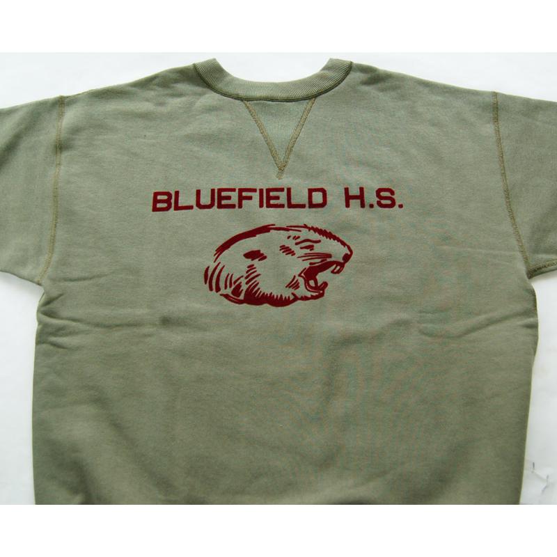 WAREHOUSE ウエアハウス スウェット 401 BLUEFIELD セットイン