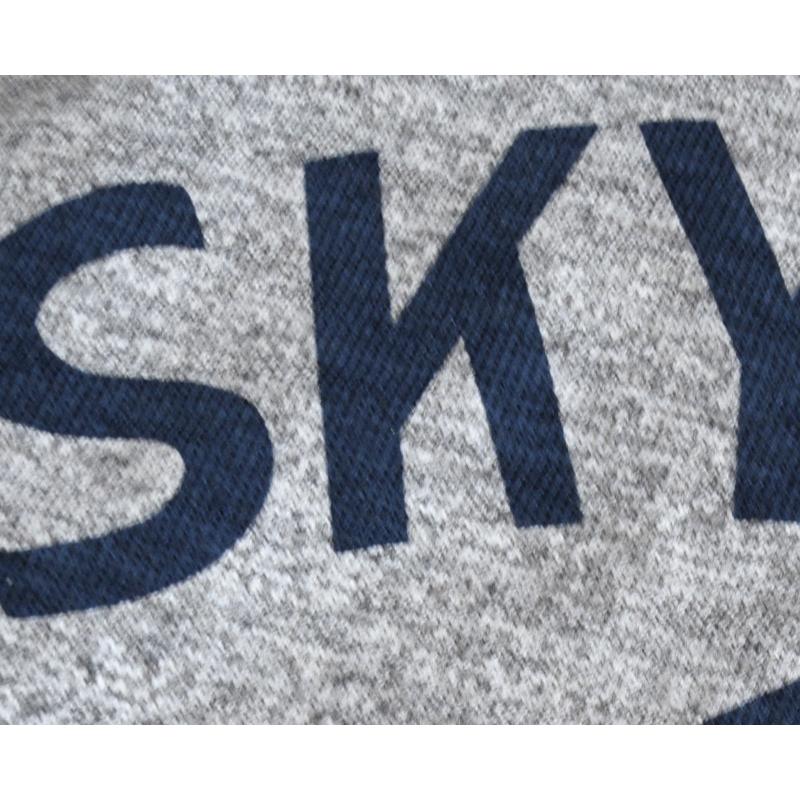 WAREHOUSEウエアハウス T-シャツ 4059 リンガーSKYLARKS : TAKE OFF