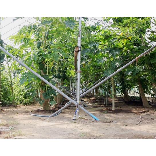 セットです。セメンザルライト & Vibanqm Lotion ✨ファーメステ