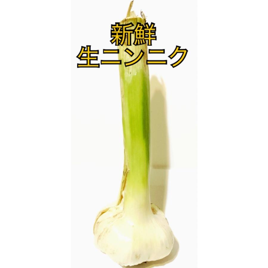 新鮮にんにく 千葉県産にんにく 野菜 無農薬栽培 産地直送 1kg 