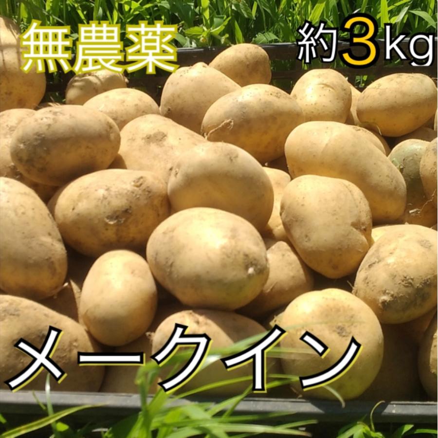 高質で安価 千葉県富津市竹岡産 じゃがいも メークイン 約3kg 値引きセール