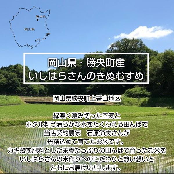 55 以上節約 新米予約 米30kg 玄米30kg 送料無料 いしはらさんのきぬむすめ 岡山県勝央町産 令和３年産 特売 Www Nc Iec Com