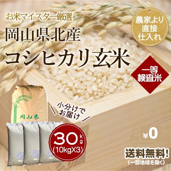 令和2年産 島根県コシヒカリ100％ 農家直仕入れ 玄米30kg