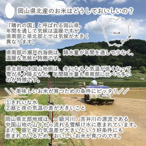 米10kg 送料無料 きぬむすめ仕立ての生活応援米 白米10kg Seikatsuouenmai 米屋武岡商店yahoo 店 通販 Yahoo ショッピング