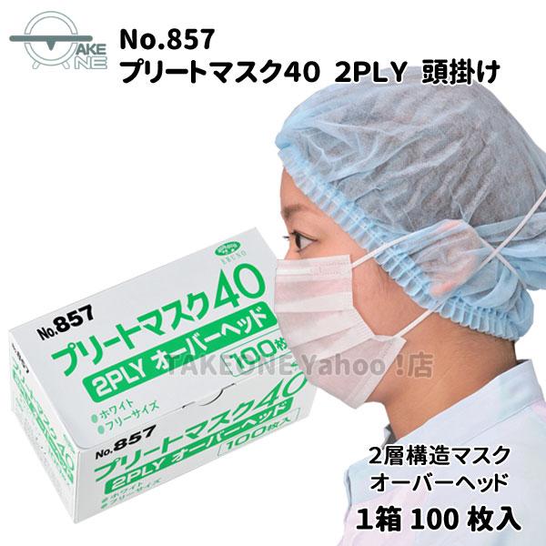 エブノ オーバーヘッド2層マスク 不織布マスク 1箱100枚 飛沫防止 2層