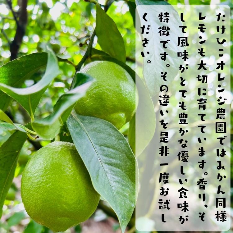 予約】国産(和歌山有田産) たけひこ レモン 2kg +200g(痛み補償分)_