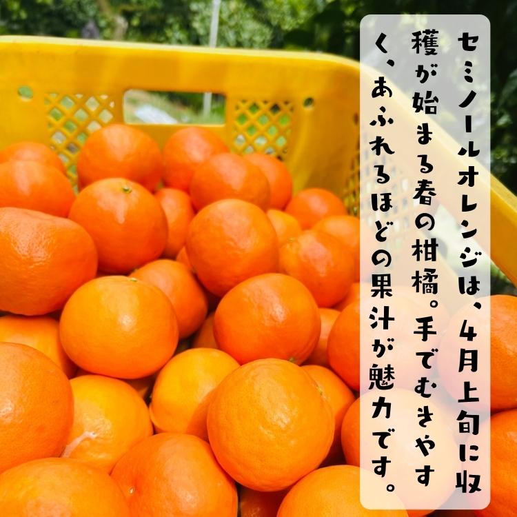 特撰 セミノール オレンジ 5kg_ フルーツ 果物 送料無料 くだもの 産地