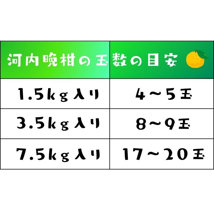 爽やか柑橘 特撰 河内晩柑 3.5kg_ フルーツ 果物 送料無料 みかん くだもの 産地直送  ギフト 和歌山 和歌山県 有田 ジューシーオレンジ |  | 05