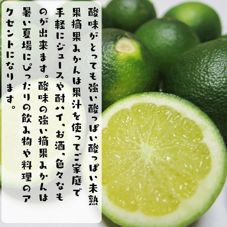 摘果みかん　ご注文の品 予約】ご家庭用 訳あり 未熟果 摘果 みかん 3kg +200g(傷み補償分