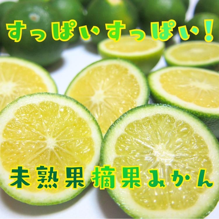 摘果みかん　ご注文の品 予約】ご家庭用 訳あり 未熟果 摘果 みかん 3kg +200g(傷み補償分