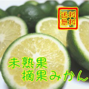 ご家庭用訳あり未熟果摘果みかん　約５ｋｇ (送料無料/わけあり/規格外/不揃い)｜takeore