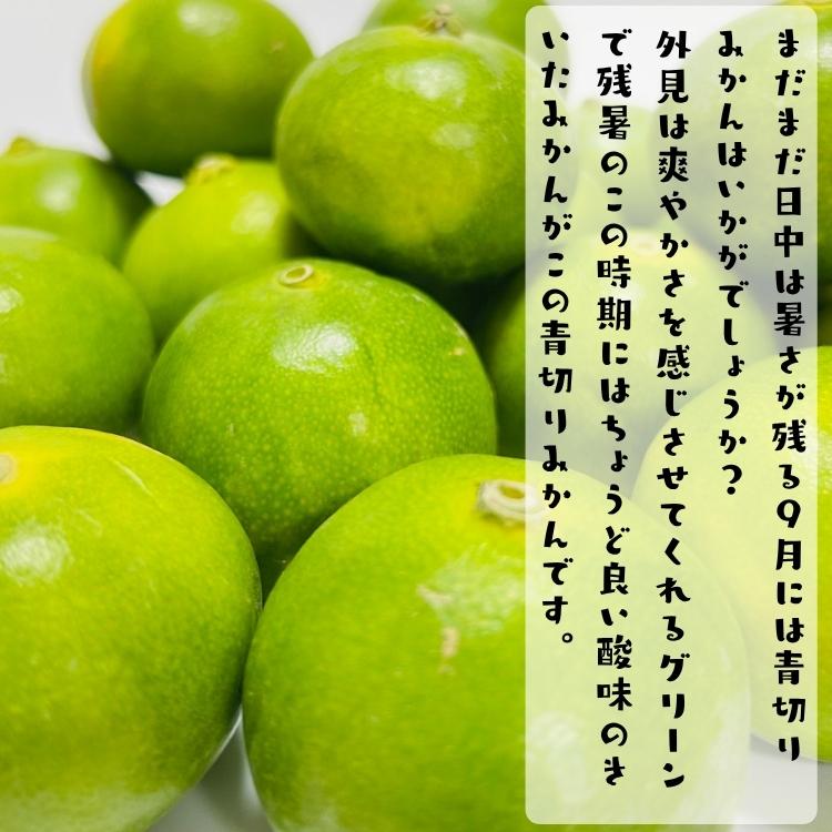 予約】ご家庭用 粗選別 青切り 有田みかん 10kg +200g(痛み補償分)_