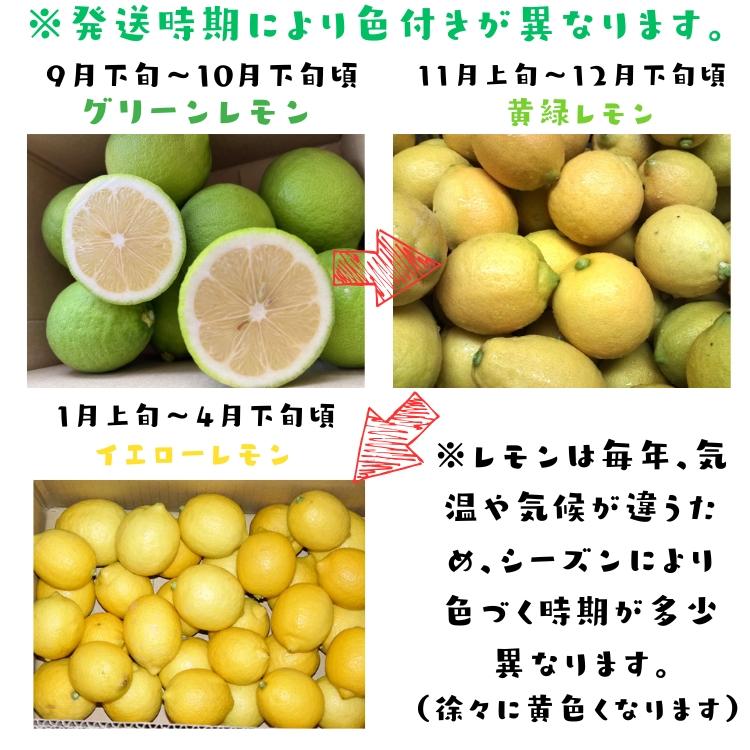 【予約】国産(和歌山有田産) たけひこ レモン 10kg +200g(痛み補償分)_ ノーワックス ノー防腐剤 減農薬 フルーツ 果物 送料無料 檸檬 ギフト 和歌山 県 有田 |  | 04