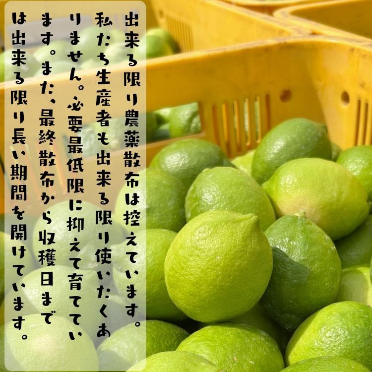 【予約】ご家庭用 わけあり たけひこ レモン 10kg+200g(痛み補償分)_ 国産 訳あり ノーワックス ノー防腐剤 減農薬 フルーツ 果物 送料無料 檸檬 くだもの |  | 02