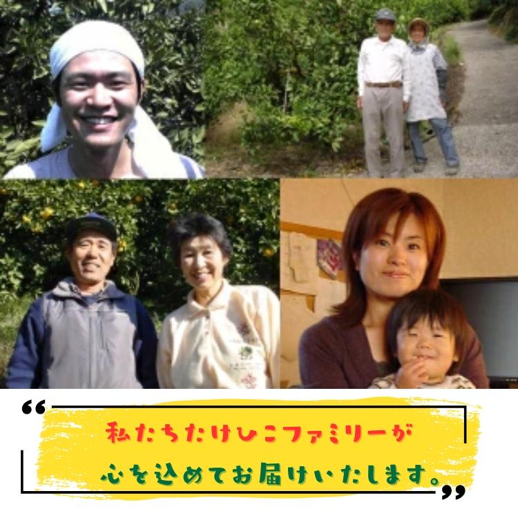 【予約】みかん 訳あり 有田みかん お試し ご家庭用 粗選別 外成 完熟 有田 みかん 3kg +200g(傷み補償分)_ わけあり 送料無料 ミカン 和歌山県 自宅用 不揃い |  | 13