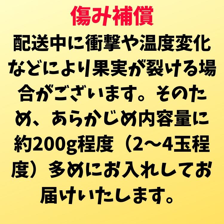 【予約】ご家庭用 粗選別 外成 完熟 有田 みかん 5kg+200g(傷み補償分)_ わけあり 訳あり フルーツ 果物 送料無料 ふぞろい 自宅用 ミカン 和歌山 有田みかん |  | 12