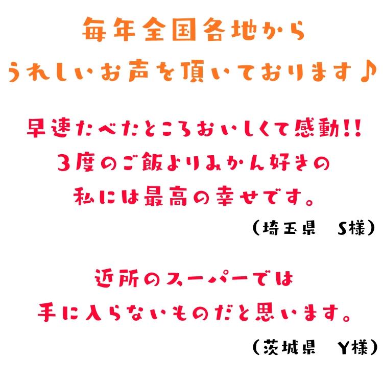 【予約】ご家庭用 粗選別 外成 完熟 有田 みかん 5kg+200g(傷み補償分)_ わけあり 訳あり フルーツ 果物 送料無料 ふぞろい 自宅用 ミカン 和歌山 有田みかん |  | 02