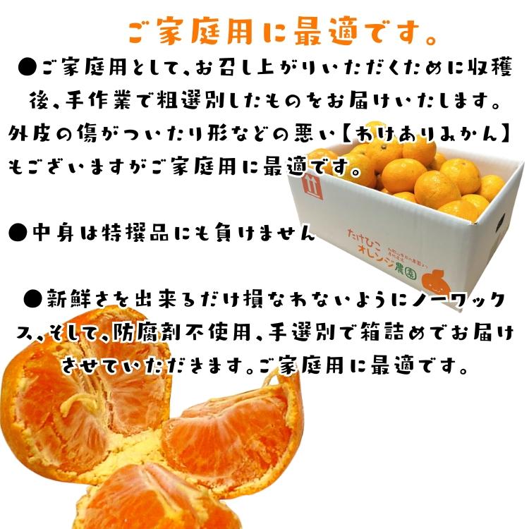 ご家庭用 粗選別 外成 完熟 有田 みかん 10kg _ わけあり 訳あり