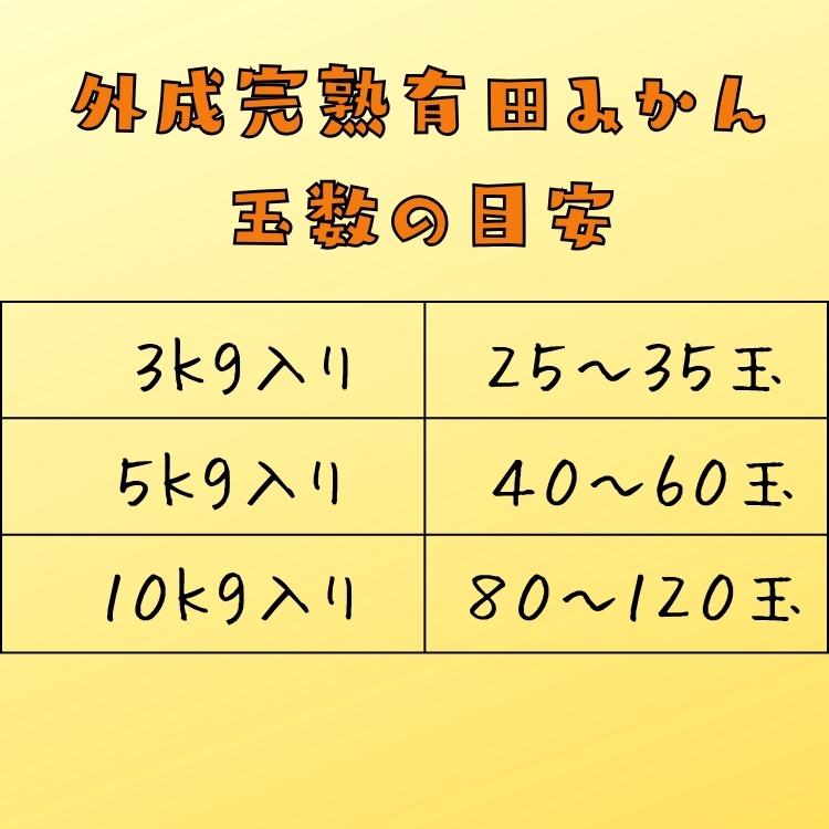 【予約】ご家庭用 粗選別 外成 完熟 有田 みかん 10kg+200g(痛み補償分)  _ わけあり 訳あり フルーツ 果物 送料無料 ふぞろい 自宅用 ミカン 和歌山 有田みかん |  | 11
