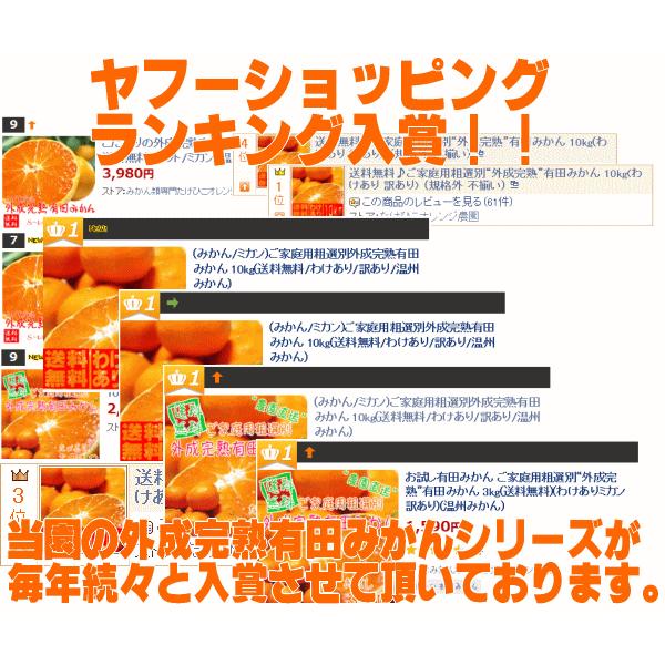 ご家庭用 粗選別 外成 完熟 有田 みかん 10kg  _ わけあり 訳あり フルーツ 果物 送料無料 ふぞろい 自宅用 ミカン くだもの 温州みかん 和歌山 有田みかん |  | 01